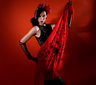 Flamenco dansen Haarlem